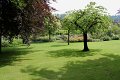 (35) 2010 Parc floral Apremont sur Allier